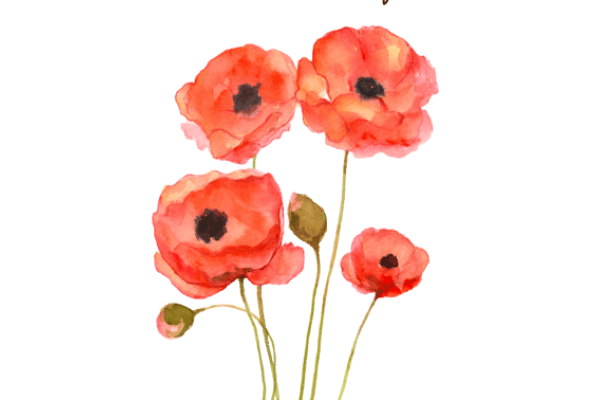 Remembrance Service 2024 - Sunday 10 November