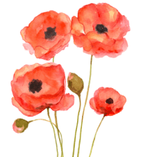 Remembrance Day